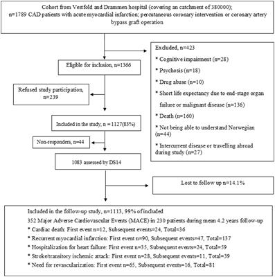 Risk of recurrent cardiovascular events in coronary artery disease patients with Type D personality